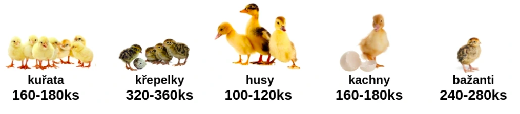 Snímka obrazovky 2026-03-03 o 22.50.26